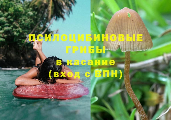 стафф Арсеньев